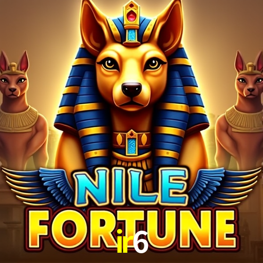 Interface Premium ir6